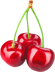 cherry-crop